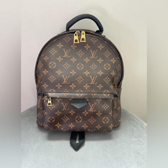 Louis Vuitton Palm Springs Backpack monogram canvas MM - Picture 1 of 9